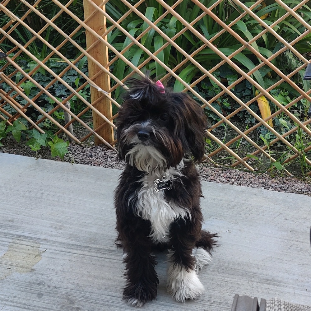 Meet your Posher, Michelle